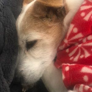 Meet your Posher, Cheryle